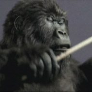 <strong>“Gorilla” </strong><br /><strong>Cadbury’s Dairy Milk - Fallon London</strong> <br />CDM is long time UK market leader, but sales plateaud since a decade. Sales up 9% in Gorilla’s 12 weeks on air and 5% for year.(IPA Effectiveness Silver 2010)