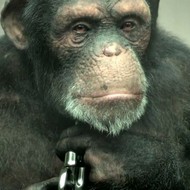<strong>“98% Human” </strong><br /><strong>PETA - BBDO New York</strong> <br />Ad showed it possible to achieve film quality emotion and storytelling with CGI animals. 11 of world’s top ad agencies plus TV channels and movie studios took pledge to substitute technology for real animals in ads and films.