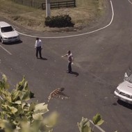 <strong>“Mistakes”</strong><br /><strong>NZTA/NEW ZEALAND TRANSPORT AUTHORITY - Clemenger BBDO Wellington</strong> <br />10m+ views on YouTube around the world. 55% of NZ drivers can recall the ad unprompted (vs. 15% target for unprompted recall). 2/3 of New Zealanders say it has changed their minds about speeding.